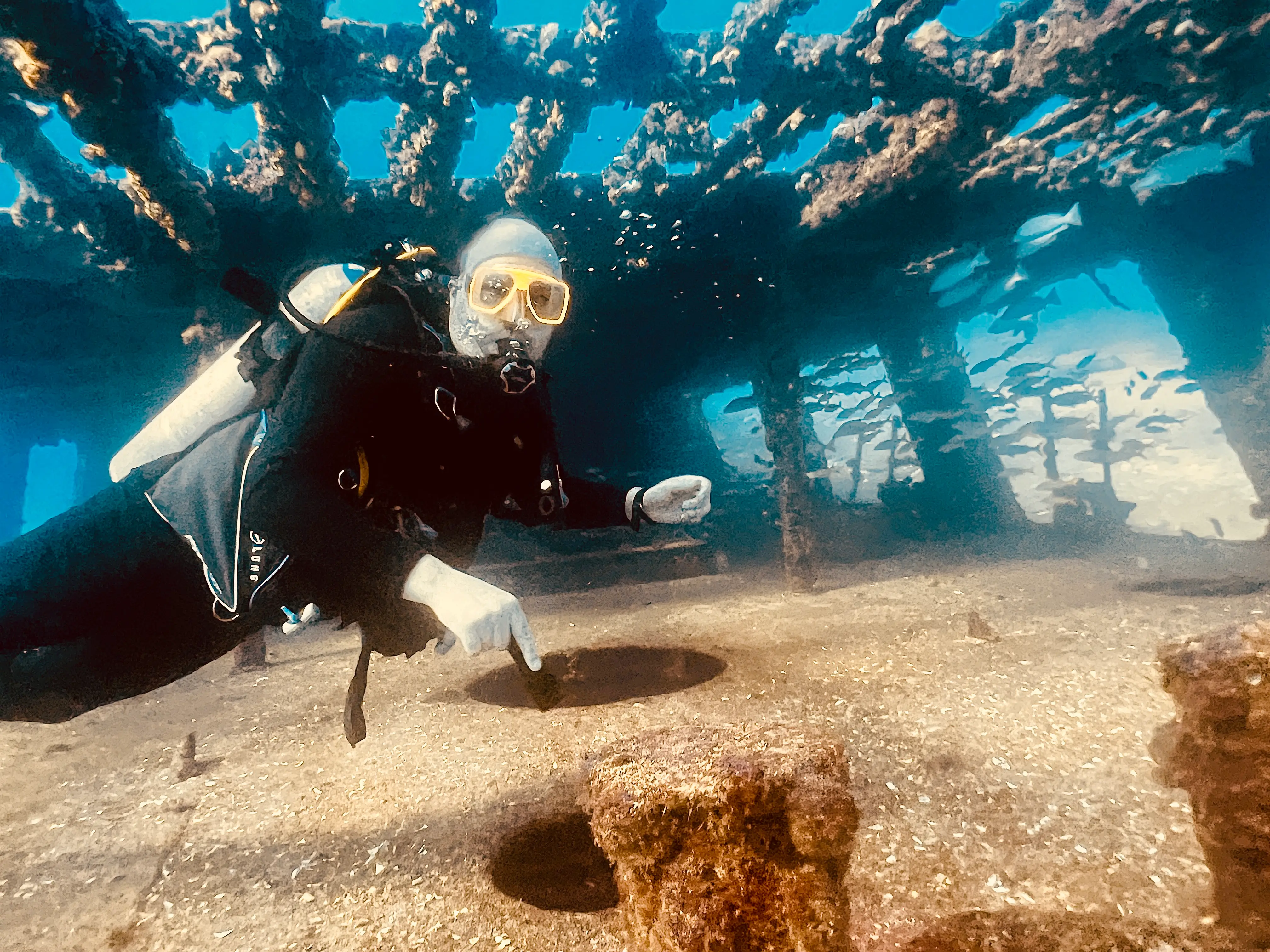 A diver points to a hole in a wreck surrounded by fish, with rusted beams and marine growth in a well-lit scene.