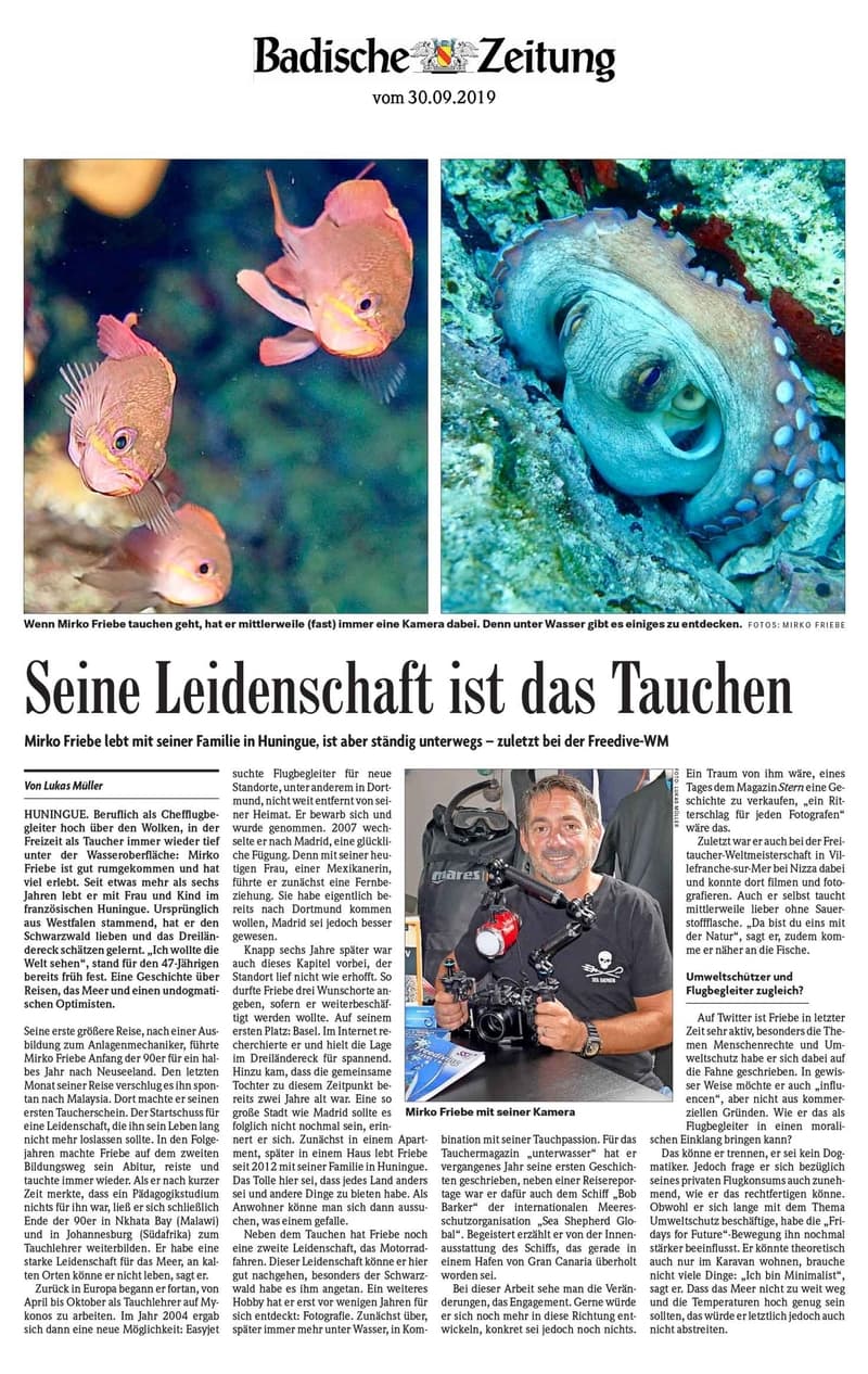 Explorando arrecifes coralinos