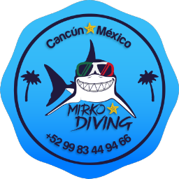 MirkoDiving