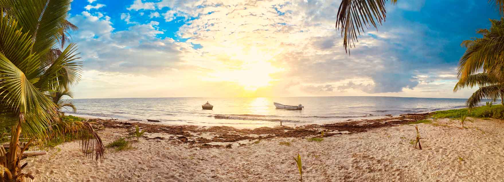 Explorando arrecifes coralinos