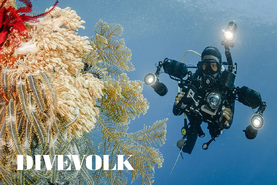 Aventuras submarinas en el Pacífico