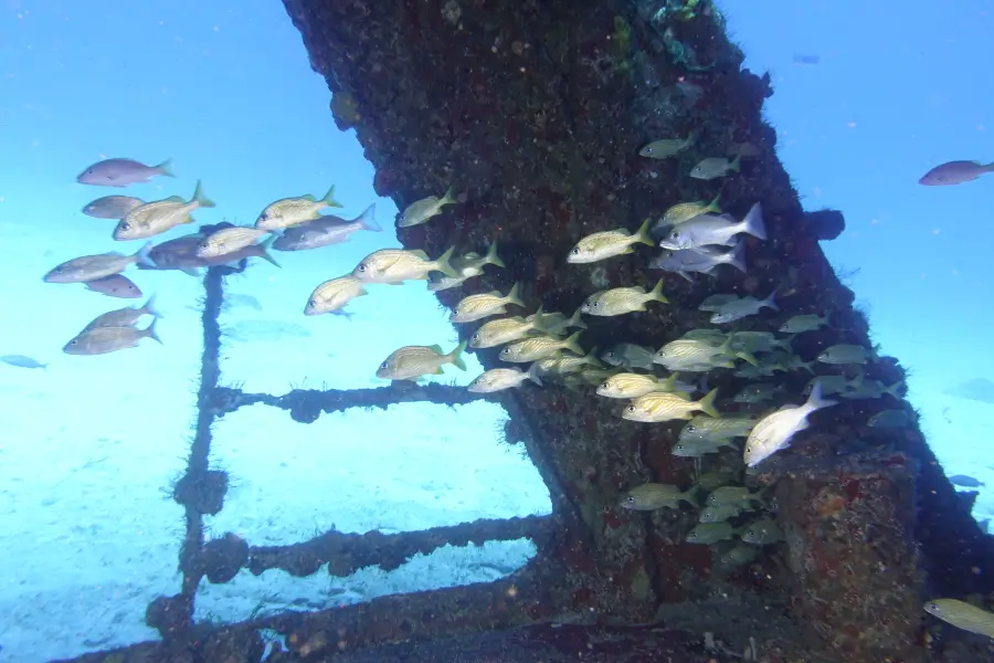 Cancun Shipwreck Diving