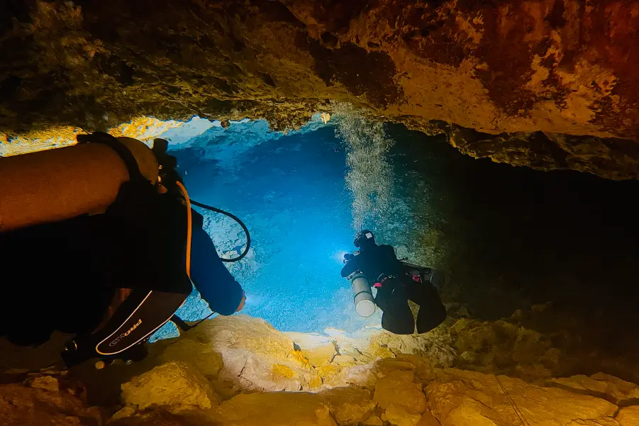 Explorando arrecifes coralinos