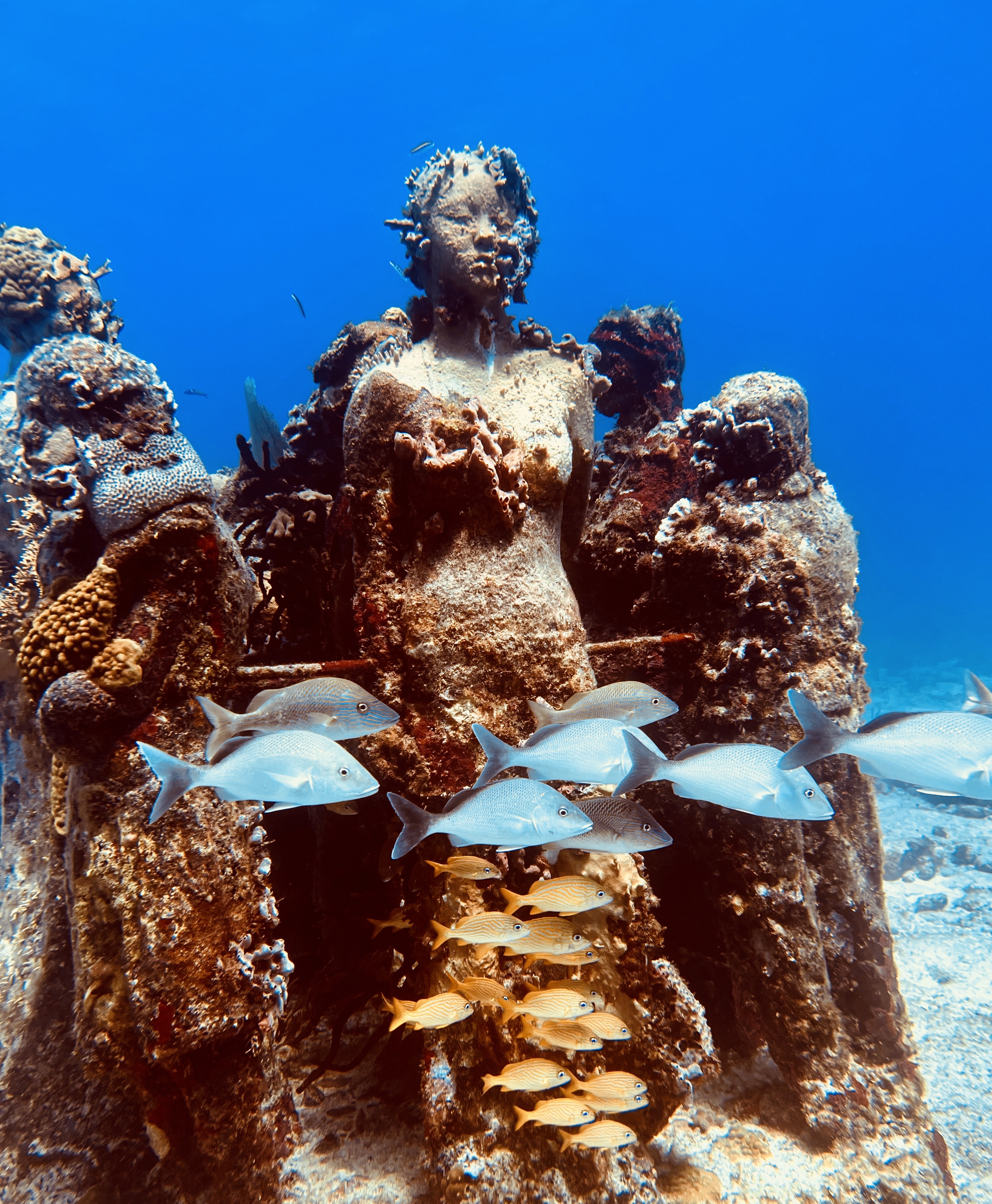 Scuba diving in Cancun's underwater museum