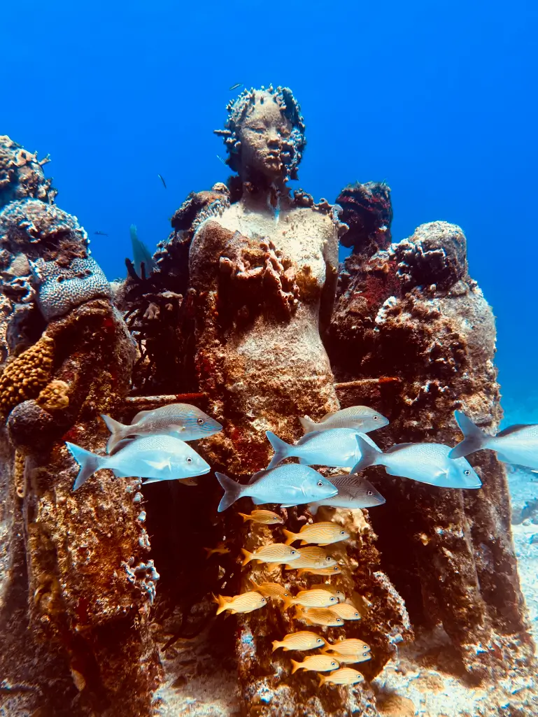 Hidden Treasures of the Caribbean