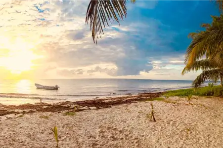 Mahahual Beach Resert