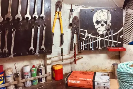 Enviromental Direct Action