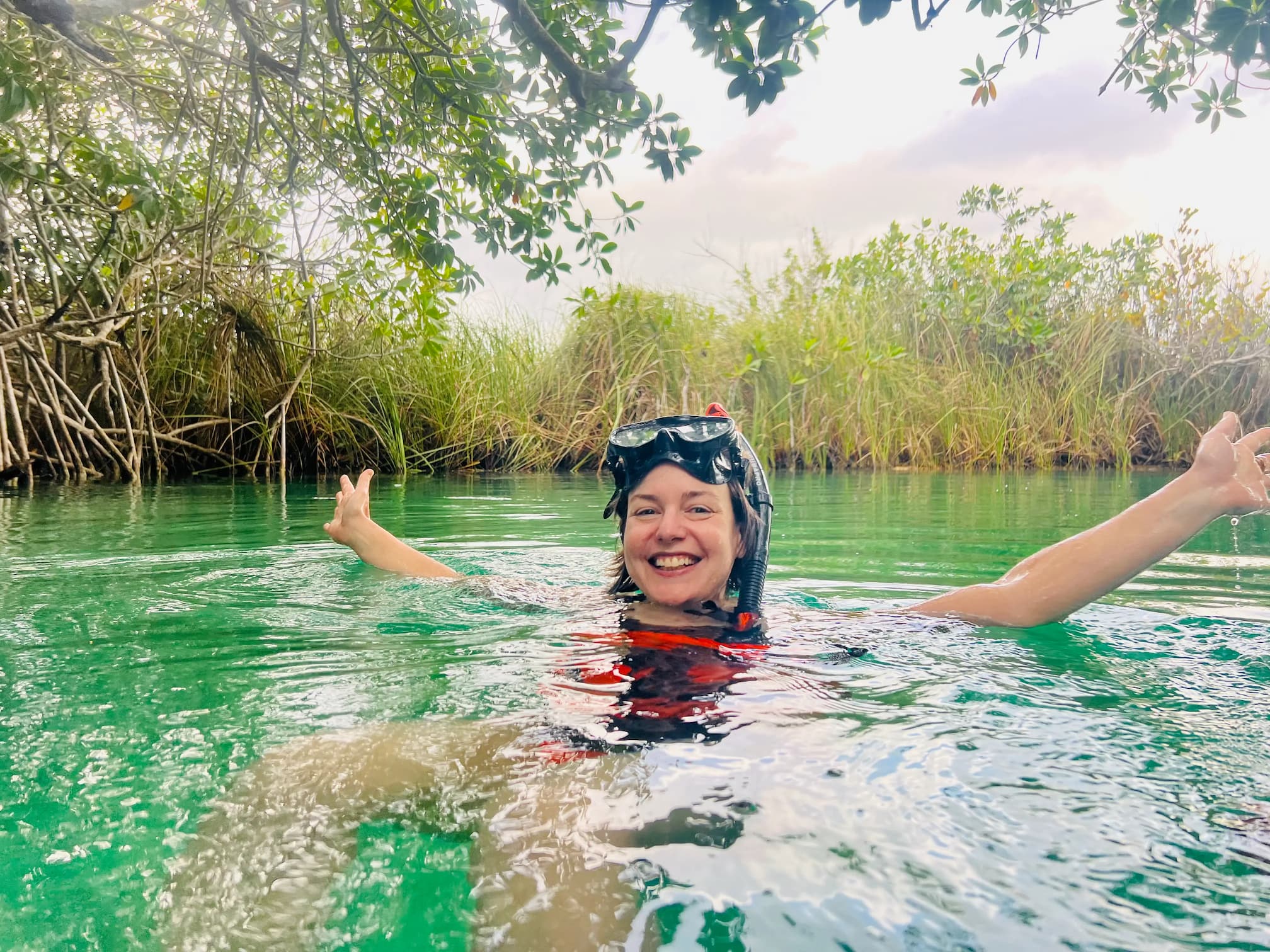 Mayan Riviera Cenote Tour